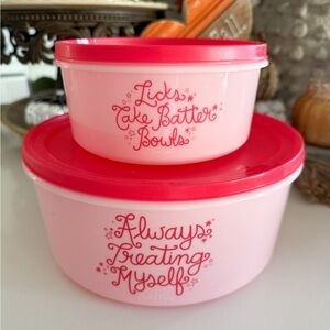 Packed Party Pink Food Storage Containers